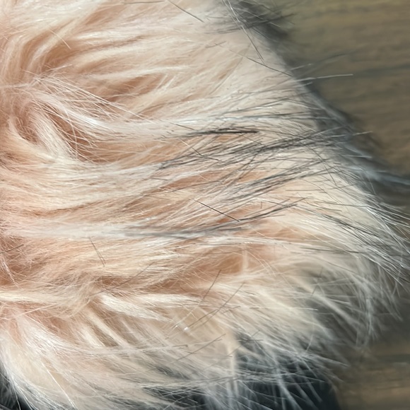 DISONO Denim Collection Cropped Black Jean Jacket - Picture 11 of 16